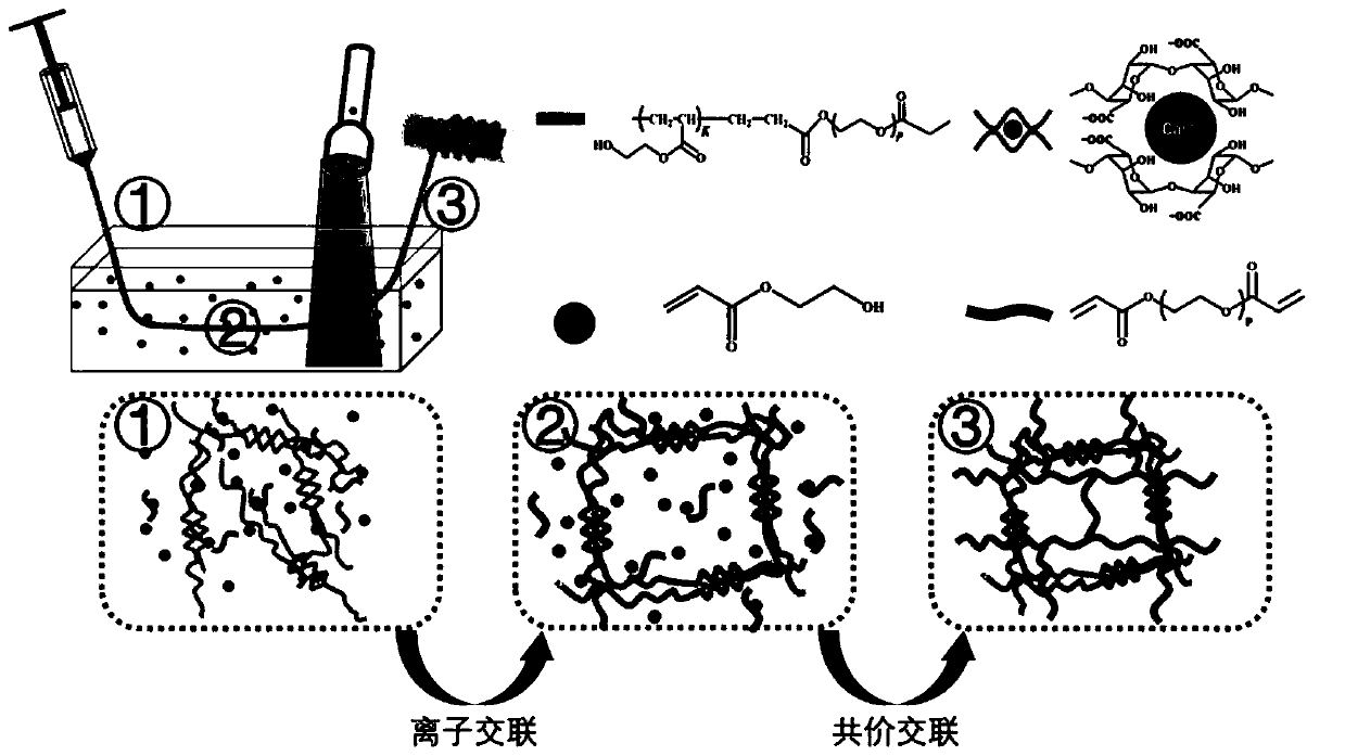 Preparation method of hybrid cross-linked transparent ionic conductive organic hydrogel fibers