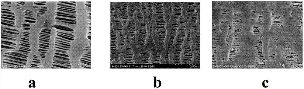 Method for modifying surface of polypropylene separation membrane