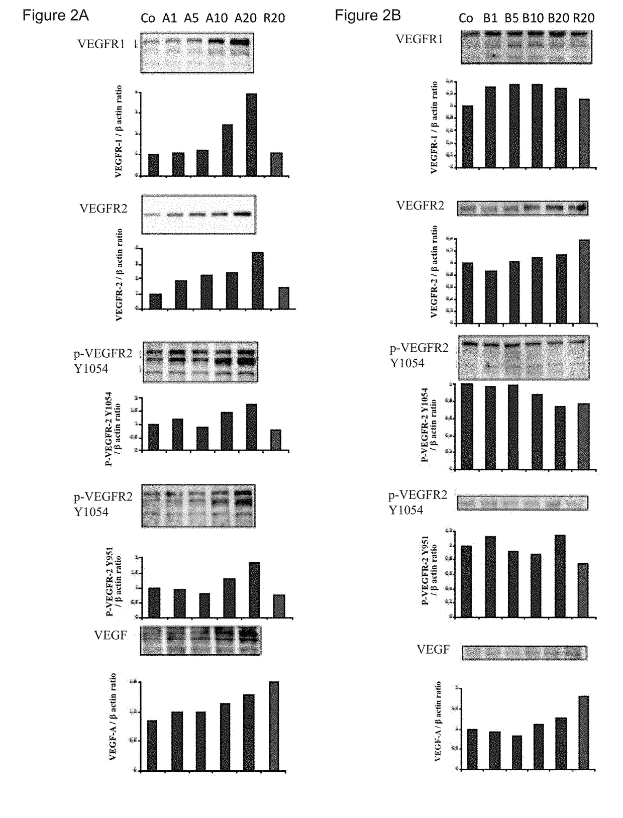 Eye health composition