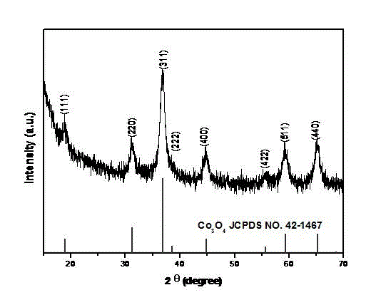 Nitrogen-doped porous carbon sphere and cobaltous oxide nano-composite anode material based on chitosan and derivatives thereof and preparation method thereof