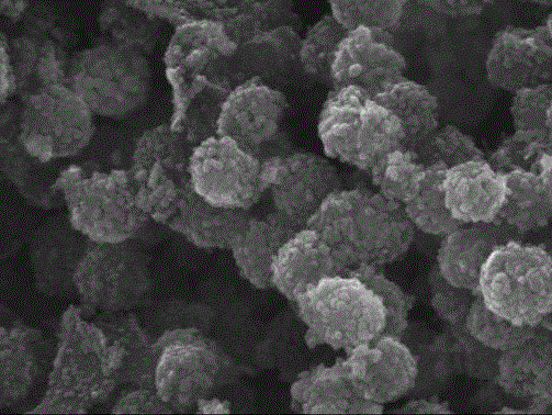 Nitrogen-doped porous carbon sphere and cobaltous oxide nano-composite anode material based on chitosan and derivatives thereof and preparation method thereof