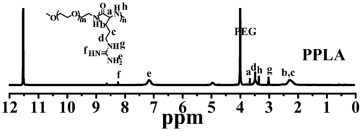 Shrinkage-resistant antibacterial nano composite fiber material for extracting uranium from seawater and preparation method of shrinkage-resistant antibacterial nano composite fiber material