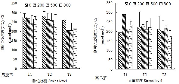 Method for increasing photosynthetic capacity of drought mixed matrix lawn plants by adopting rare-earth cerium