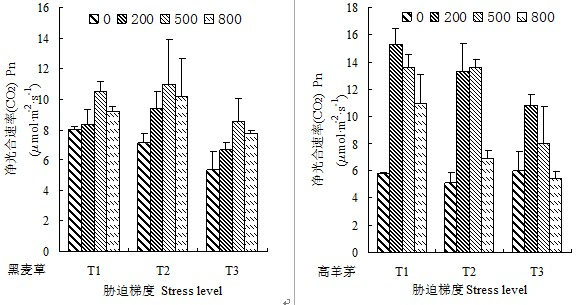 Method for increasing photosynthetic capacity of drought mixed matrix lawn plants by adopting rare-earth cerium