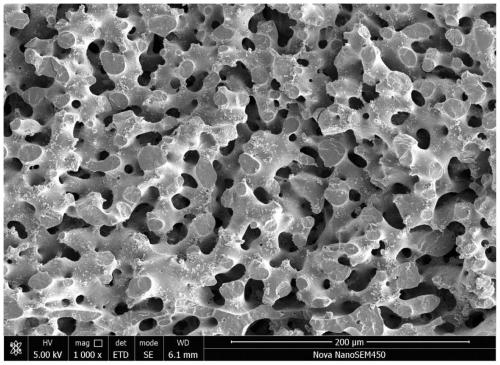 Preparation method of oriented communicated porous biomedical stent, as well as stent prepared by method and application of stent in preparation of medical products