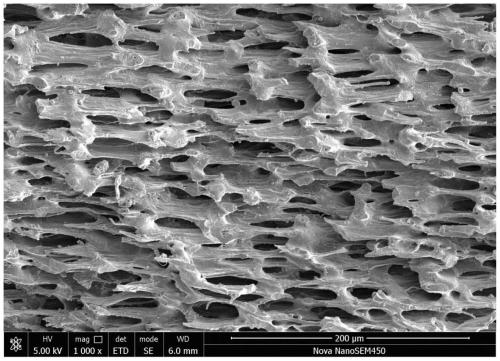 Preparation method of oriented communicated porous biomedical stent, as well as stent prepared by method and application of stent in preparation of medical products