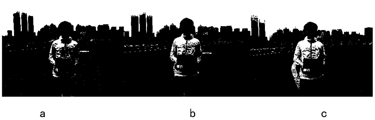 Automatic analysis system and method for subjective image quality evaluation