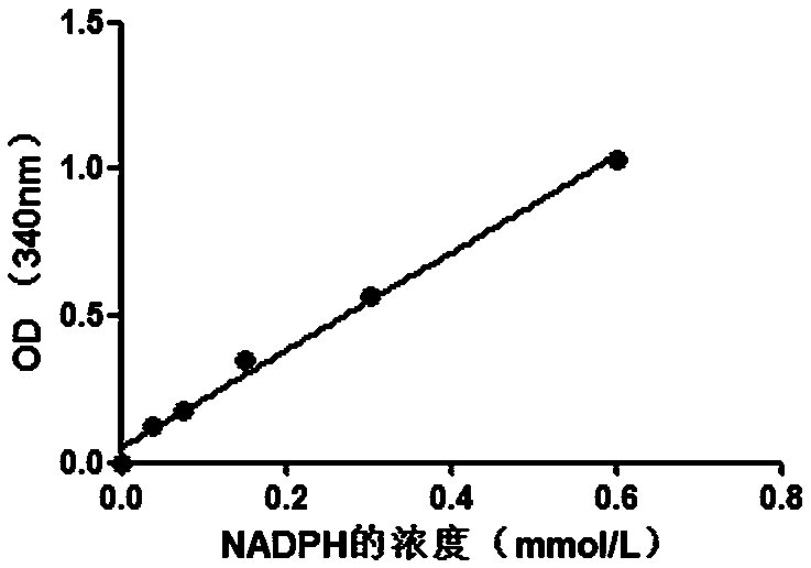 A method for screening 1-deoxyxylulose-5 phosphate racemase inhibitors from marine microbial fermentation broth