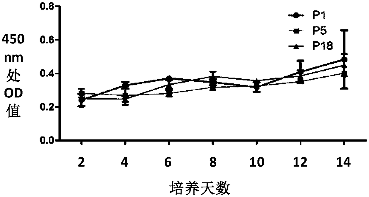 Stem cell preparation sponge patch complex for treating cerebral diseases as well as preparation method and application thereof