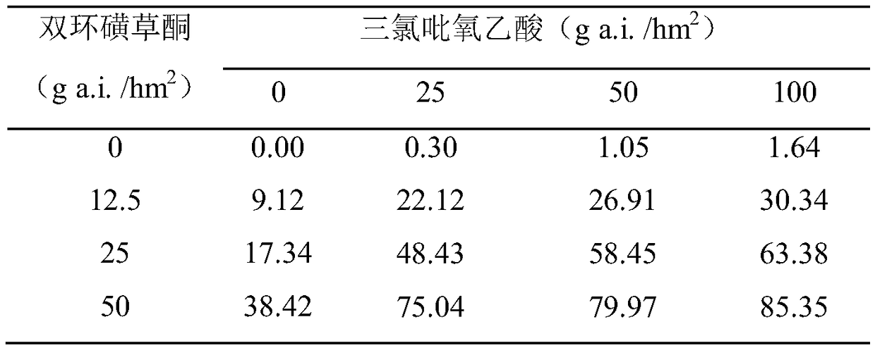 Weeding composition containing triclopyr and benzobicyclon and application thereof