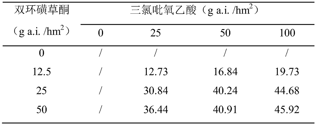 Weeding composition containing triclopyr and benzobicyclon and application thereof