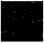 Preparation process for oxidized cationic sizing starch