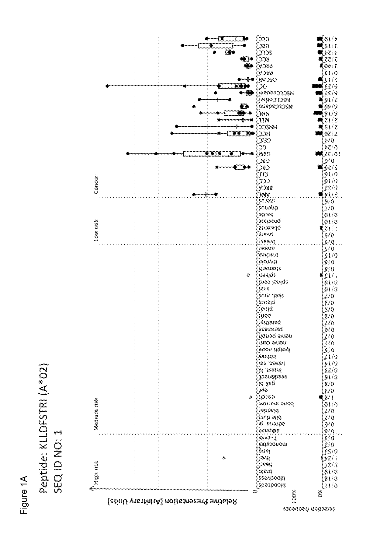 Peptides and combination of peptides of non-canonical origin for use in immunotherapy against different types of cancers