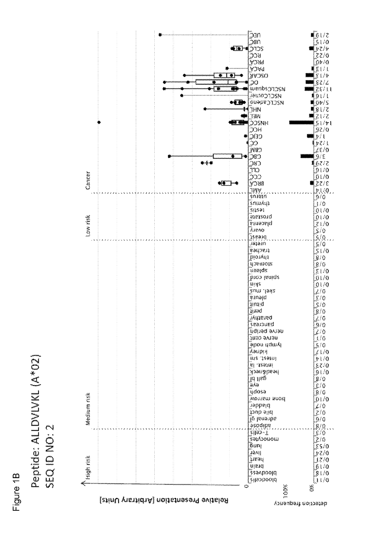 Peptides and combination of peptides of non-canonical origin for use in immunotherapy against different types of cancers