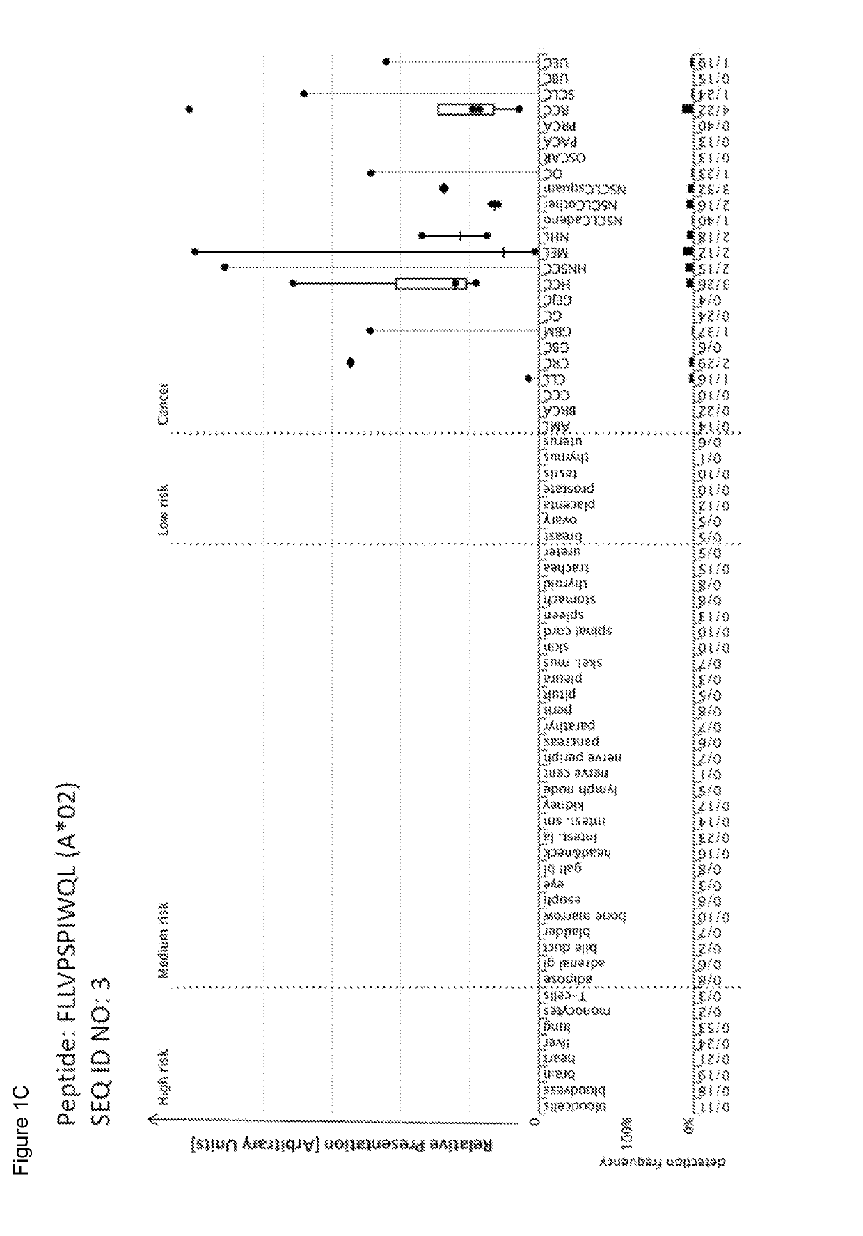 Peptides and combination of peptides of non-canonical origin for use in immunotherapy against different types of cancers