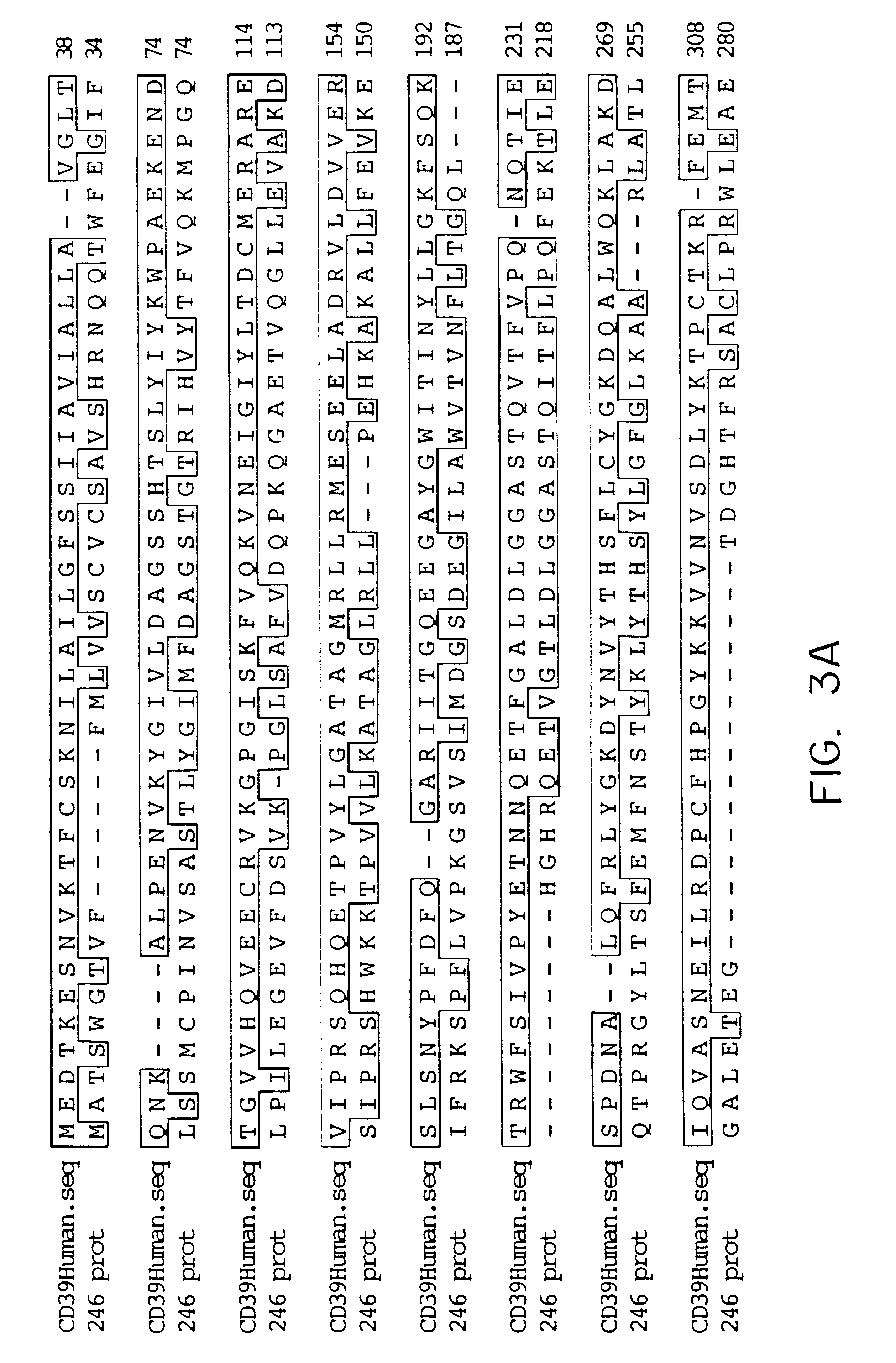 Methods and materials relating to novel CD39-like polypeptides