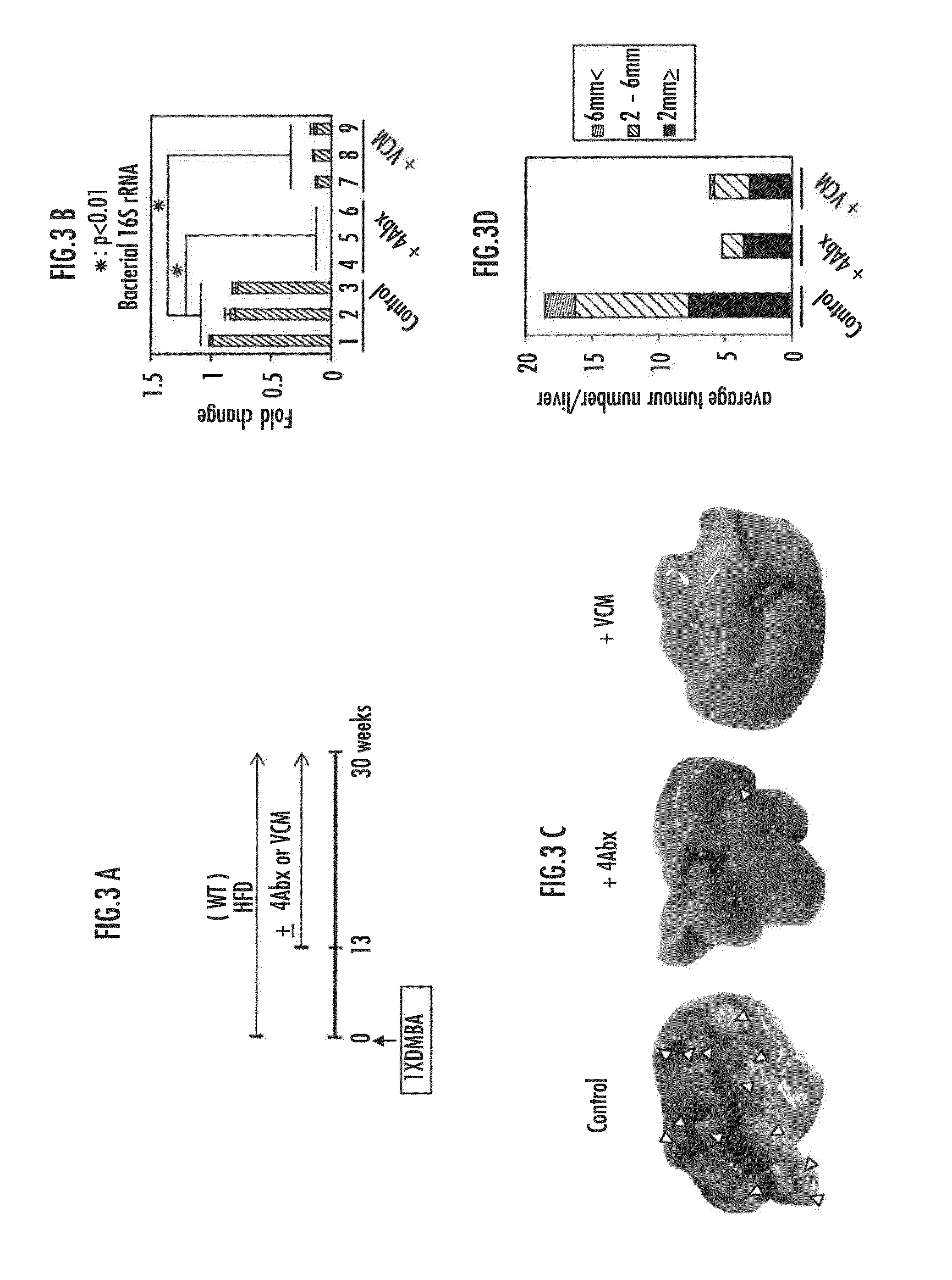 Method for examination of carcinogenic risk