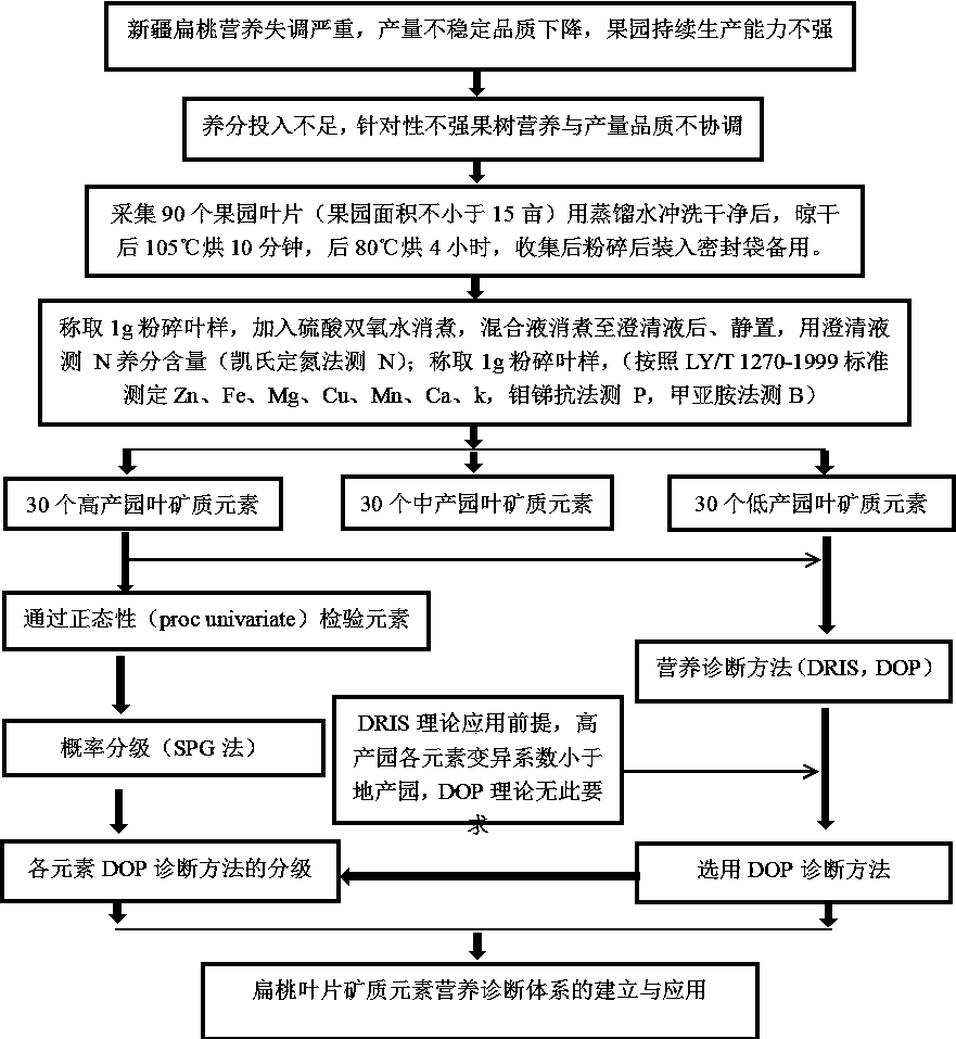 Establishment and application of mineral element nutrient diagnosis system for leaves of Xinjiang almond