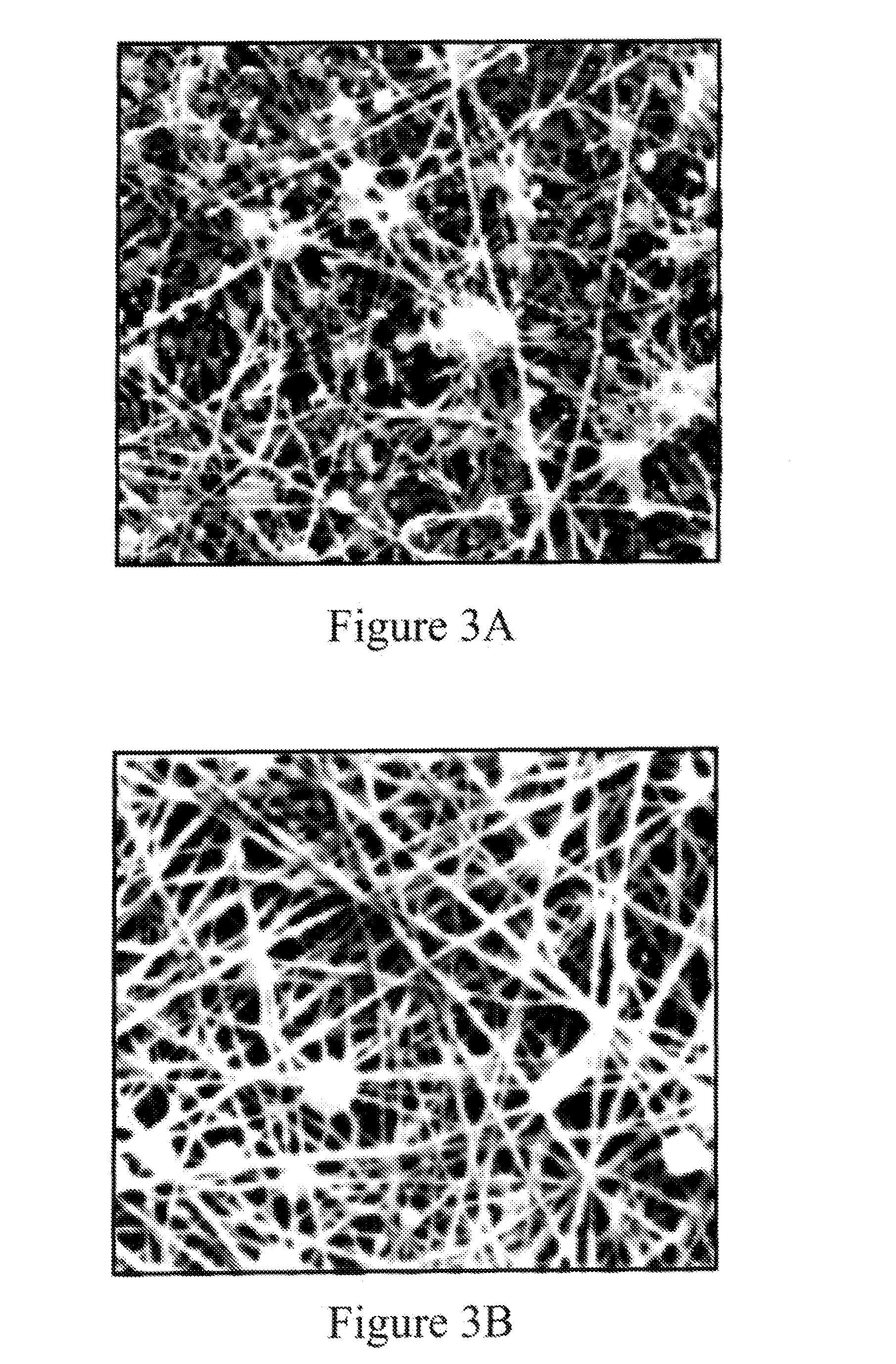 Ultraporous Nanofiber Mats And Uses Thereof