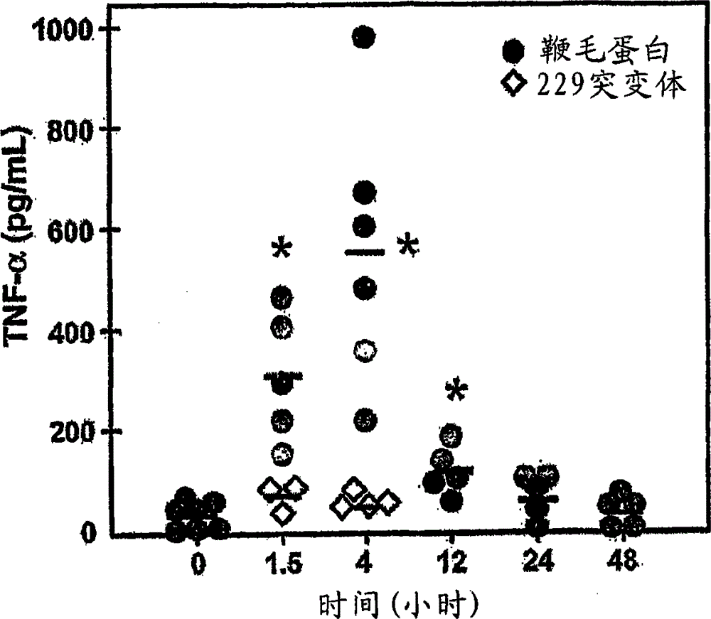 Use of flagellin in immunotherapy of Yersinia pestis