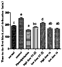 Bifidobacterium bifidum and its use