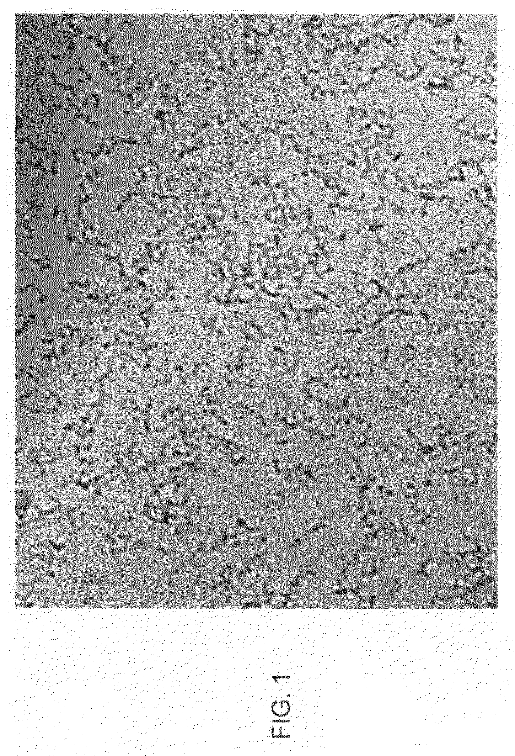 Colloidal silica for semiconductor wafer polishing and production method thereof