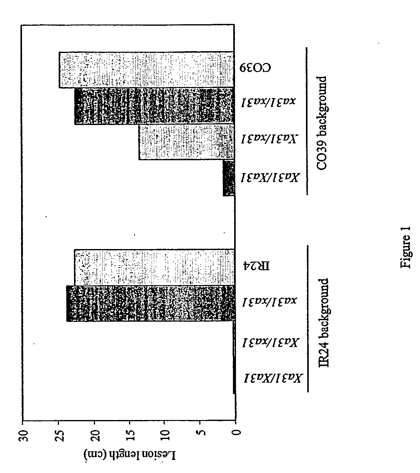 Nucleic acids from rice conferring resistance to bacterial blight disease caused by xanthomonas spp