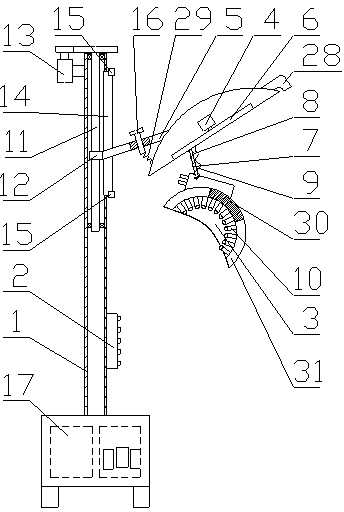 Vertical automatic massaging and hair washing machine