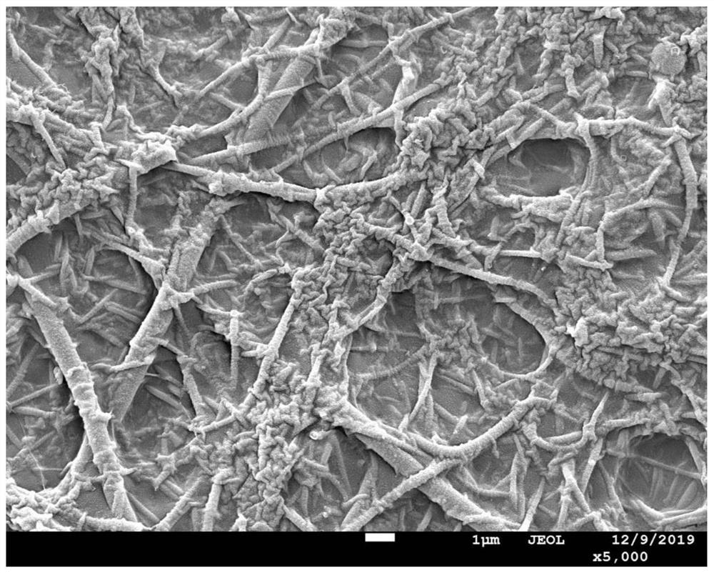 Nanofiltration membrane material with high surface roughness and preparation method thereof