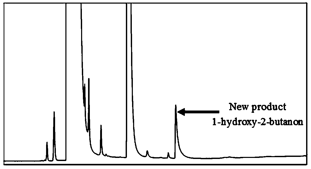 Method for whole-cell catalytic synthesis of 1-hydroxy-2-butanone