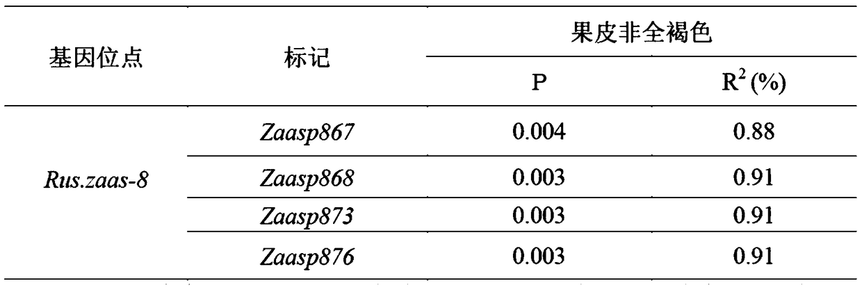 Molecular markers and screening methods for the gene loci of the full-brown trait of the pear cultivar 'Qingxiang'