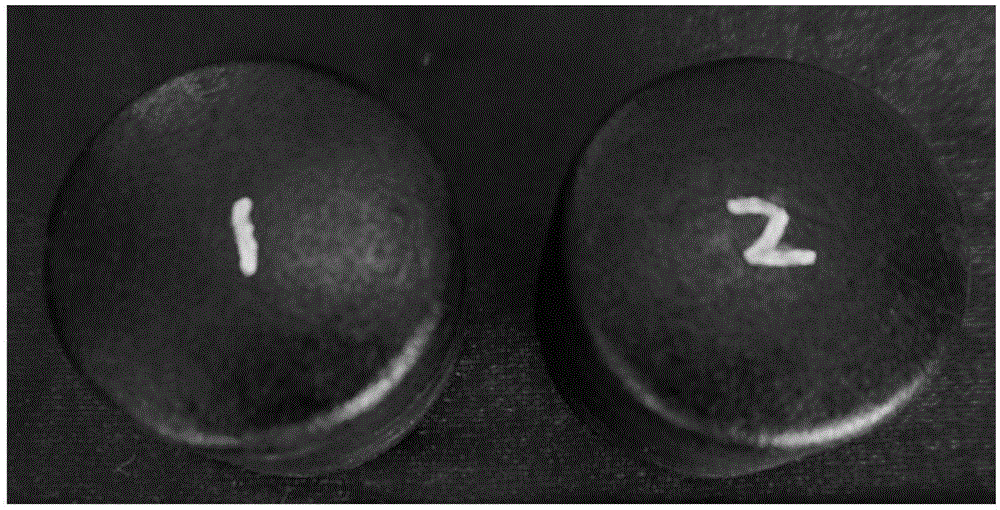 1300-1500 DEG C-resistant and low-density carbon tile surface anti-oxidation coating and production method thereof