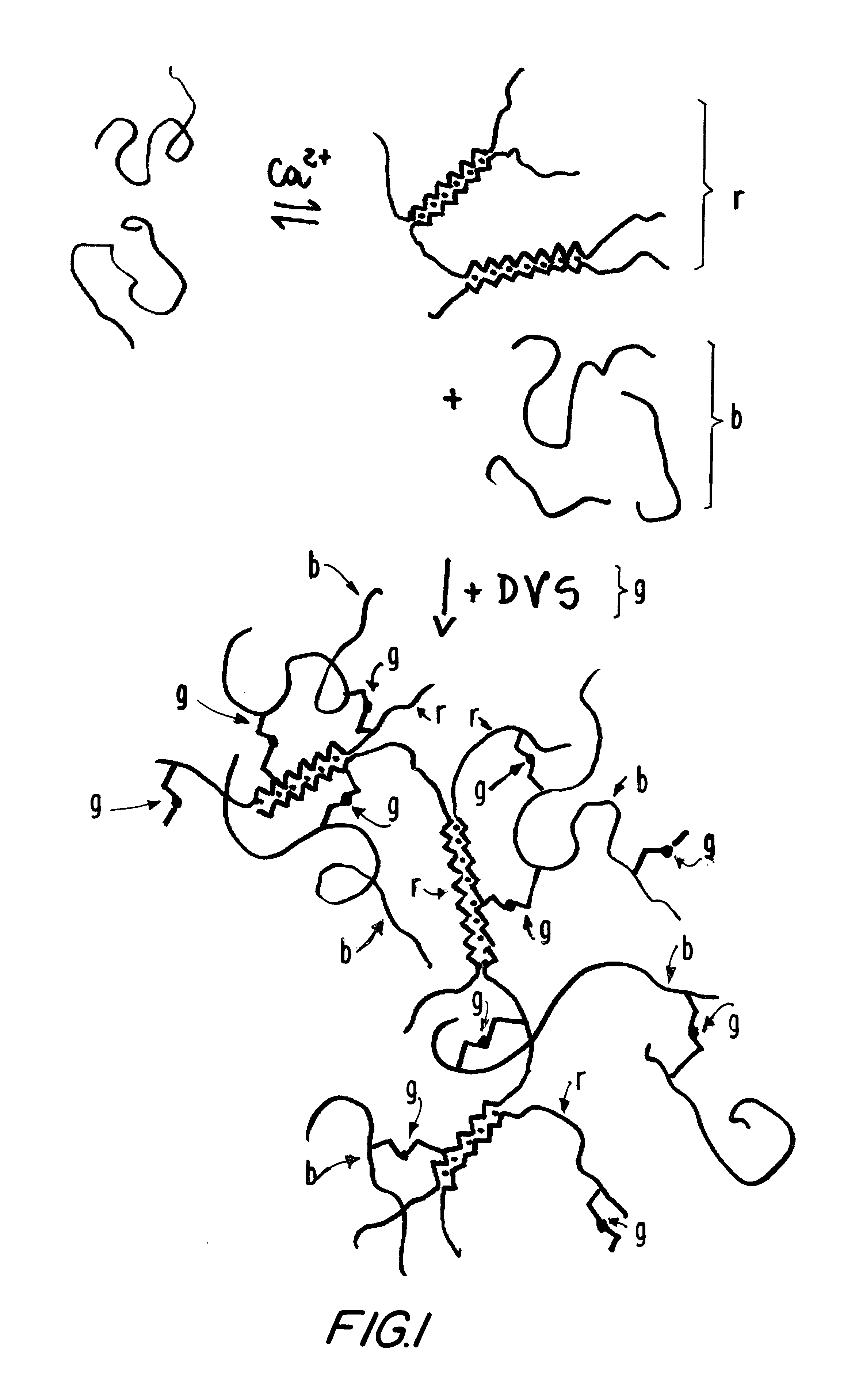 Hetero-polysaccharide conjugate and methods of making and using the same