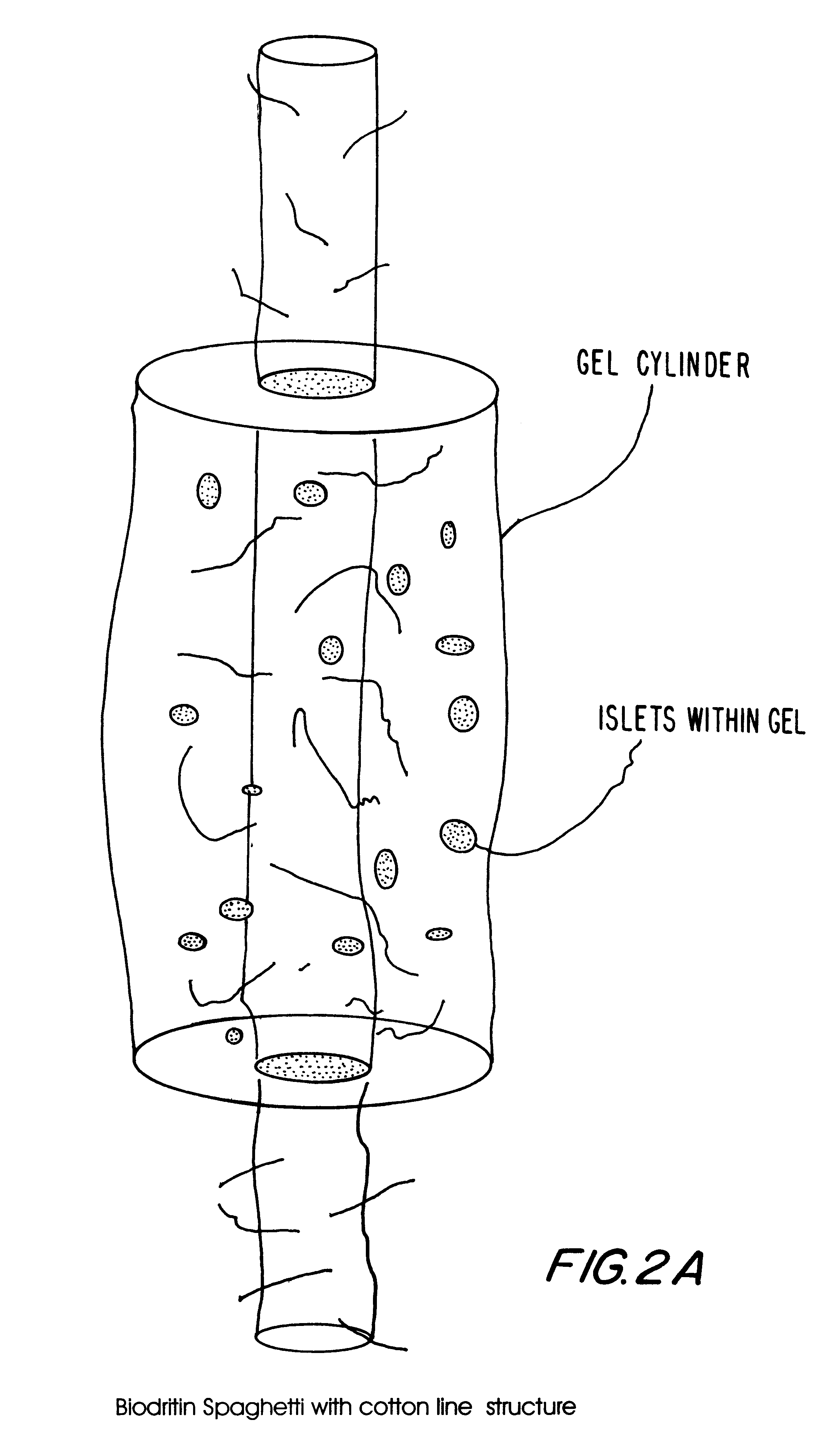 Hetero-polysaccharide conjugate and methods of making and using the same