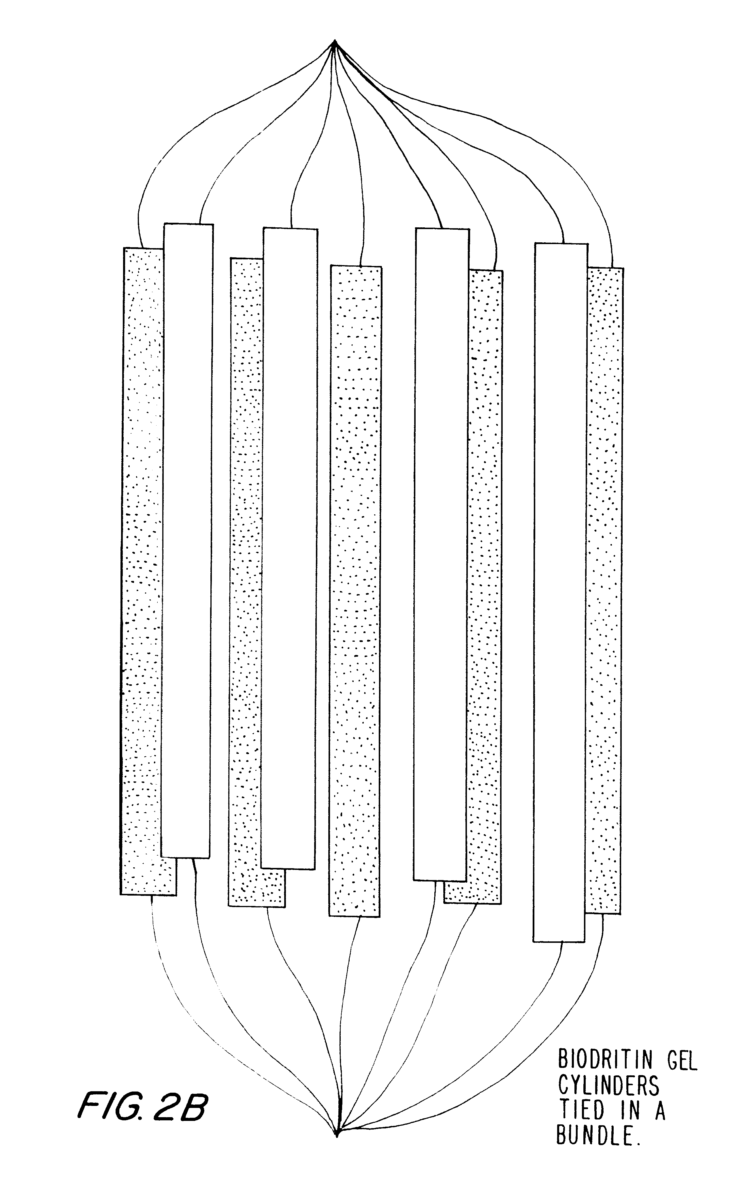 Hetero-polysaccharide conjugate and methods of making and using the same