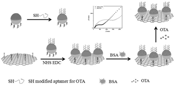 A kind of electrochemical immunosensor based on janus particle and its preparation method and application