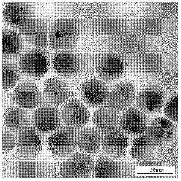 Method for preparing monodisperse silver core-nickel shell nanoparticles