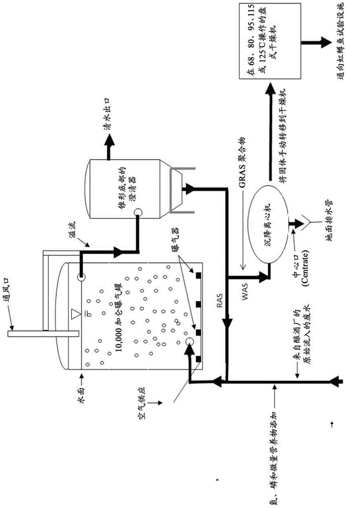 Methods of processing waste activated sludge