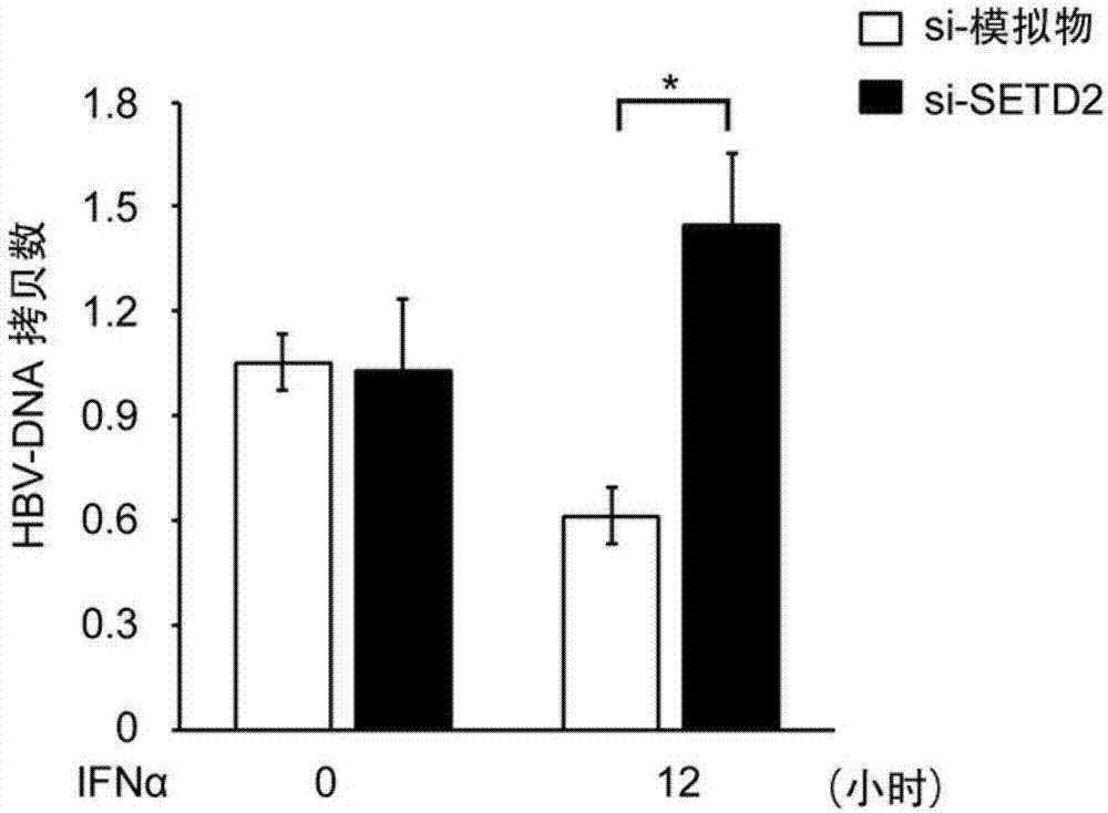 Antiviral effect and application of epigenetic modifying enzyme SETD2