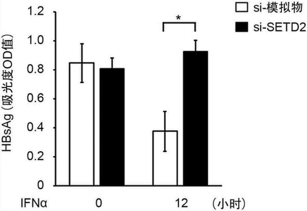 Antiviral effect and application of epigenetic modifying enzyme SETD2