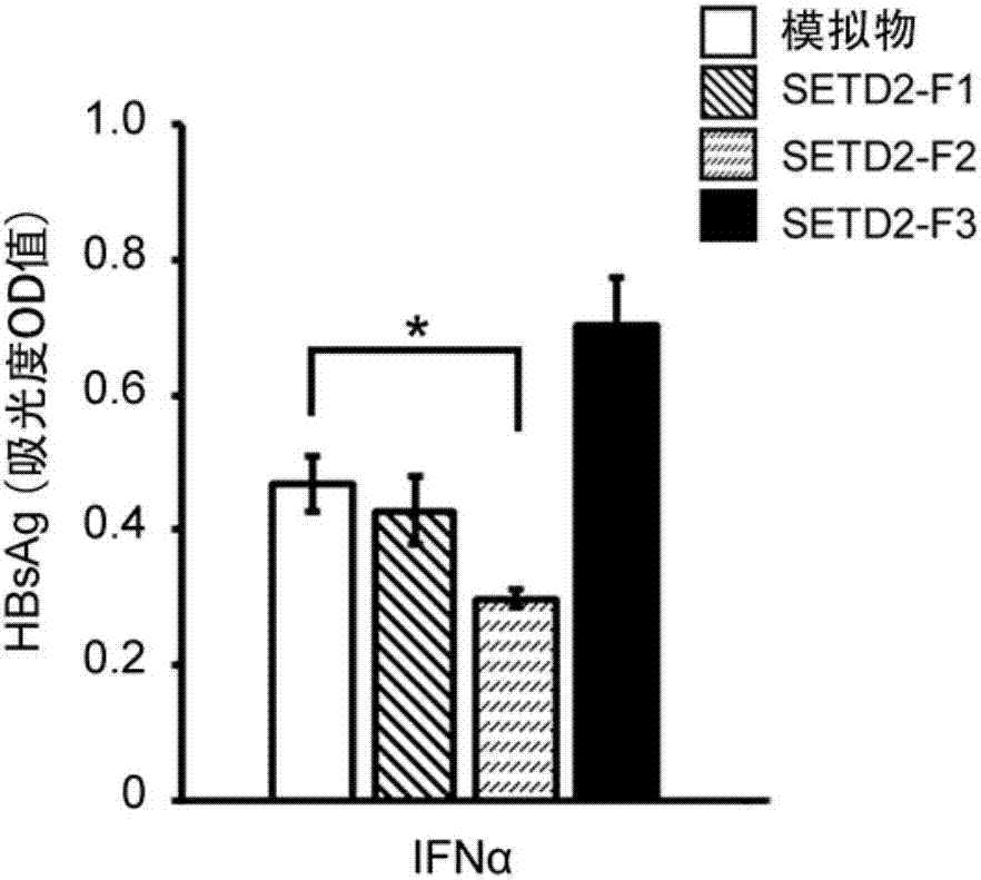 Antiviral effect and application of epigenetic modifying enzyme SETD2