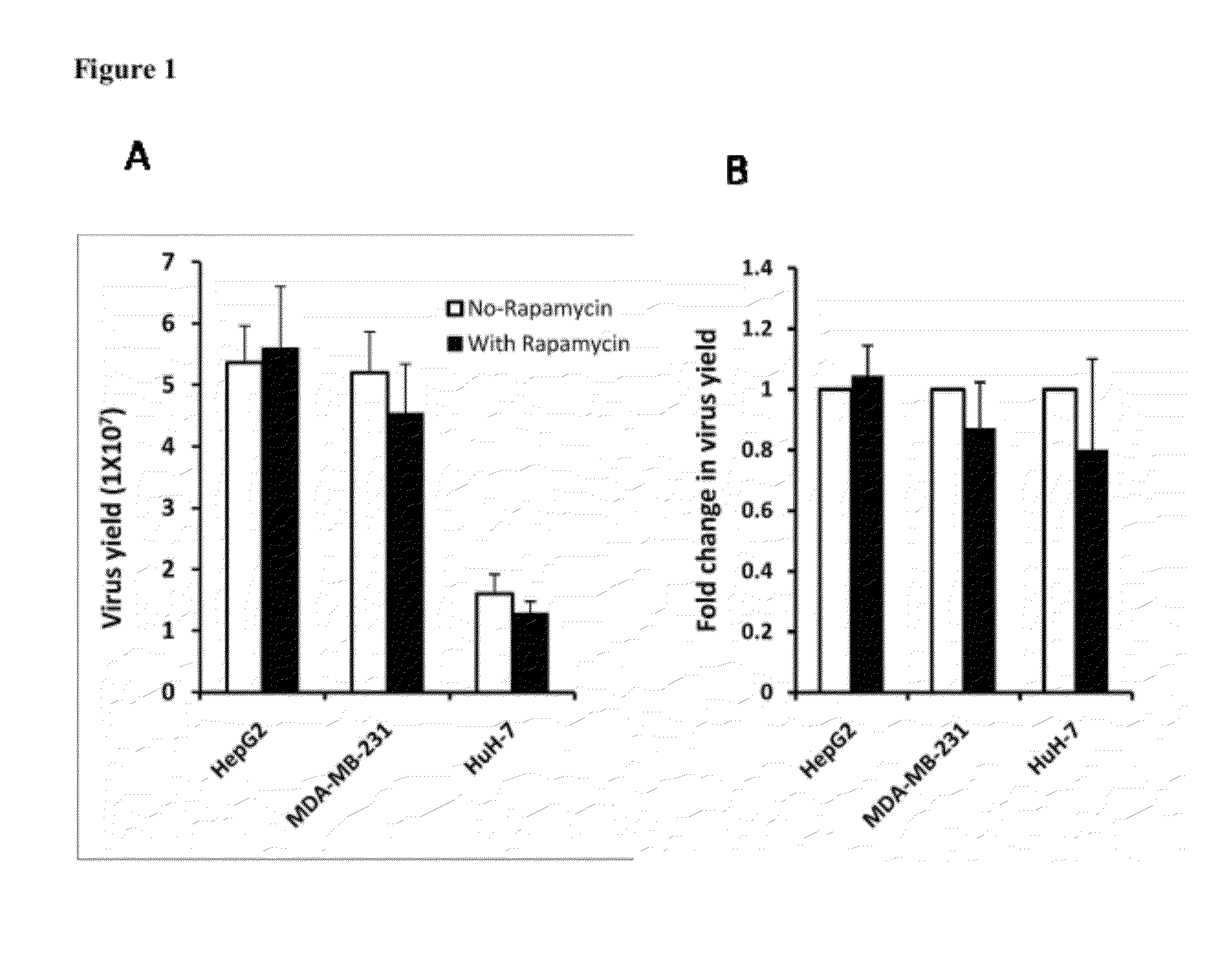 Method for increasing the replication of oncolytic HSVs in highly resistant tumor cells using mTOR pathway and PI3K inhibitors