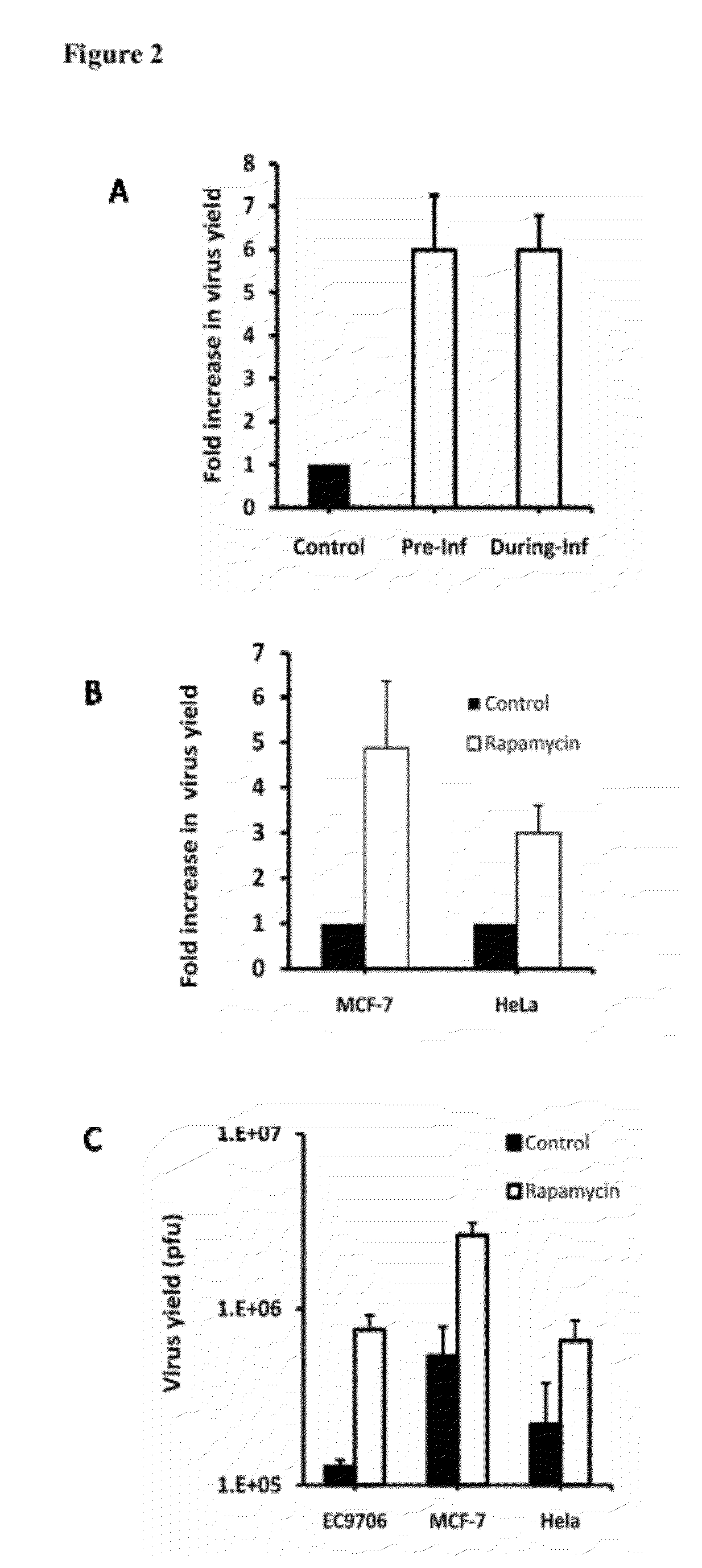 Method for increasing the replication of oncolytic HSVs in highly resistant tumor cells using mTOR pathway and PI3K inhibitors