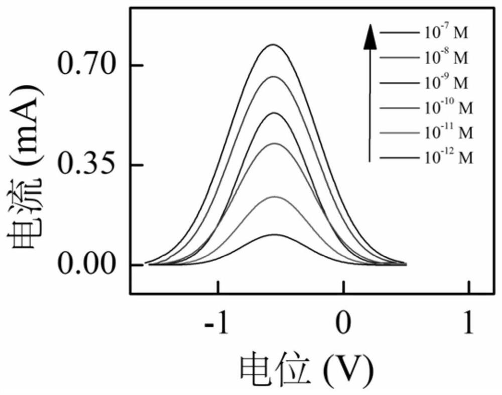 Preparation method and application of electrochemical sensor for detecting lead ions based on fast scanning cyclic voltammetry