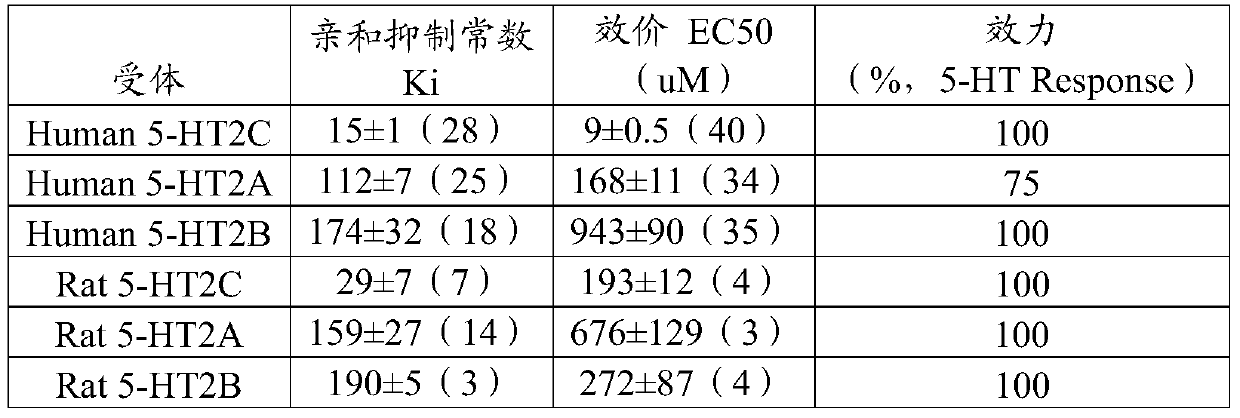 A kind of lorcaserin hydrochloride pellets, its preparation method and its preparation