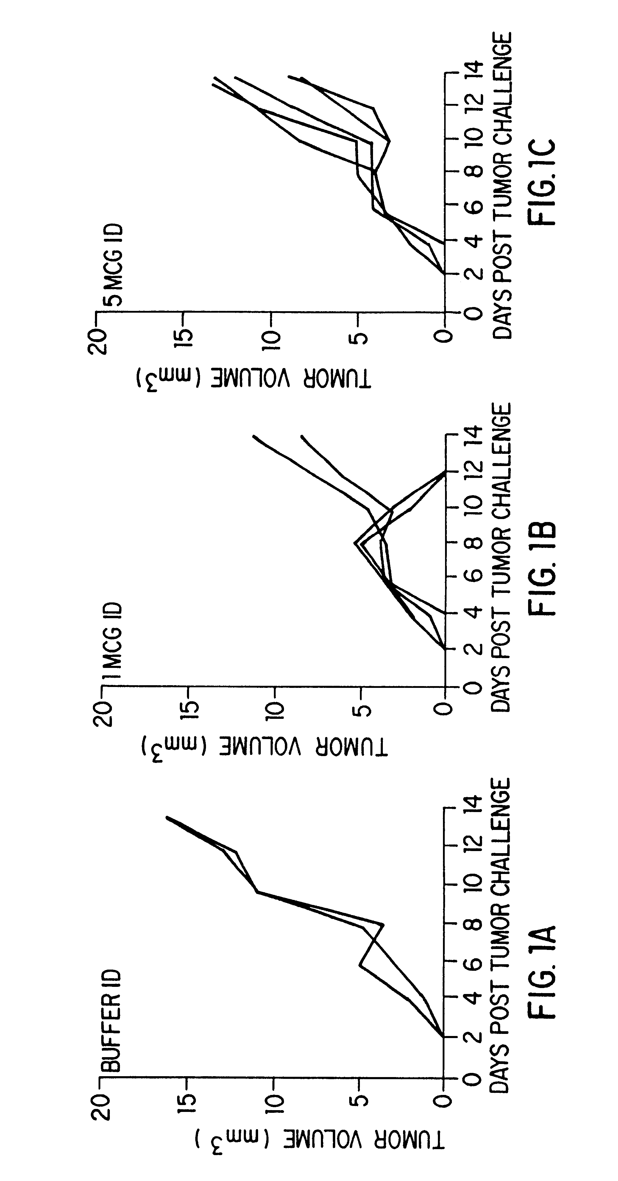 Prevention of infectious diseases with gp96-peptide complexes