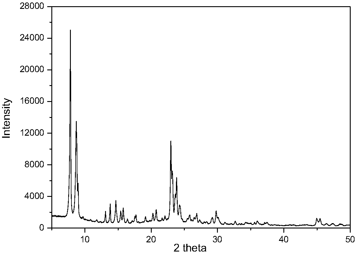 Aromatic hydrocarbon methylation catalyst and a preparation method thereof