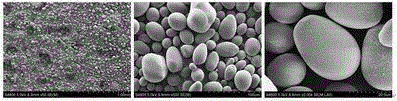 Preparation method of modified starch styptic powder