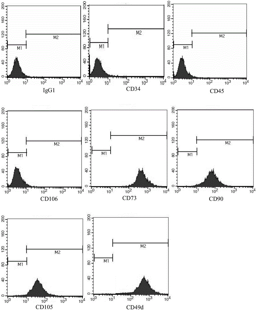 Kit for verifying adipose-derived stem cells