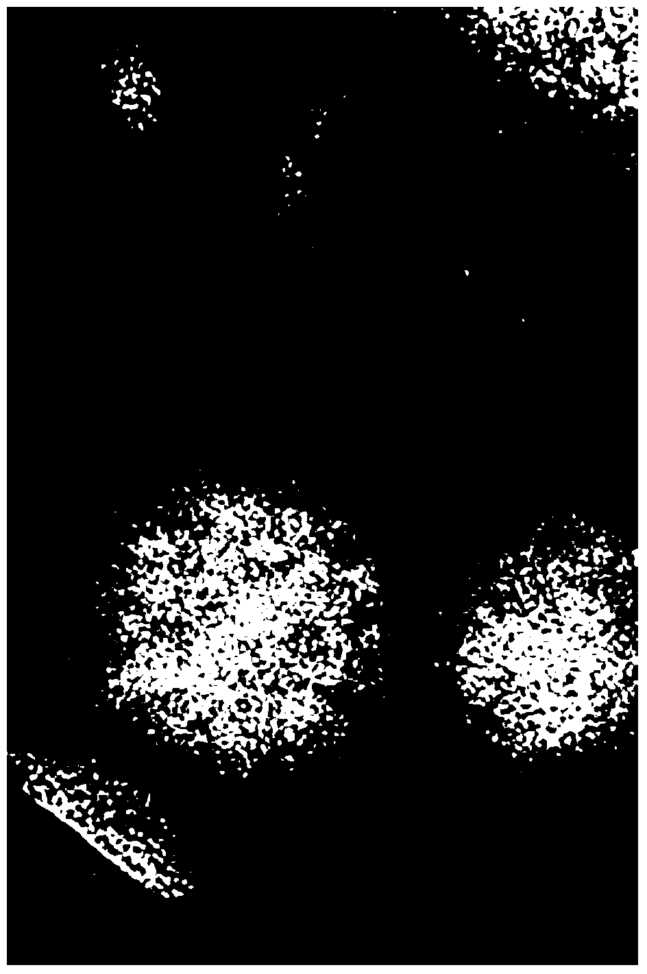 Gadolinium-containing chelate liposome-targeted magnetic resonance imaging contrast agent modified by il-13 and its preparation method and application